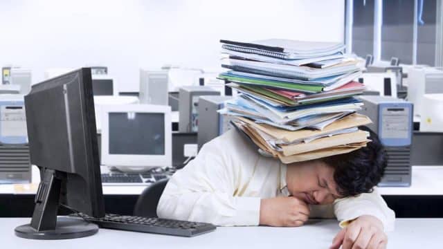 business tax prep